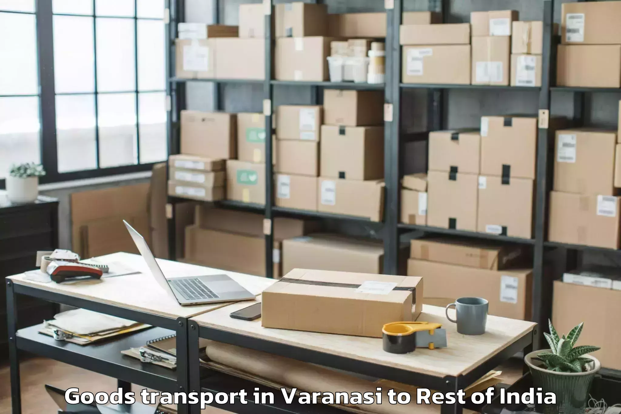 Professional Varanasi to Sopore Goods Transport